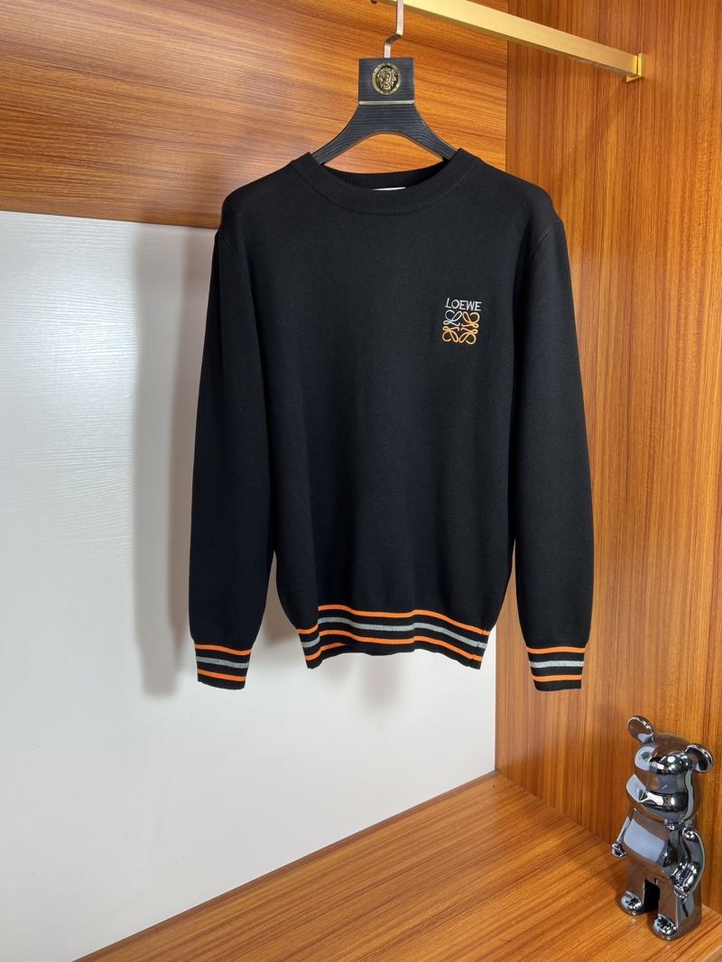 Loewe Sweaters